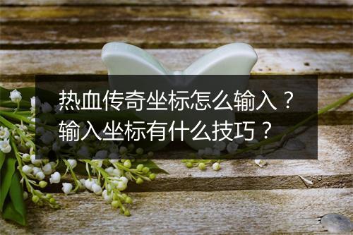 热血传奇坐标怎么输入？输入坐标有什么技巧？