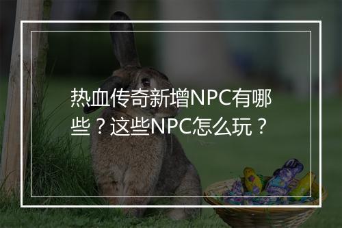 热血传奇新增NPC有哪些？这些NPC怎么玩？