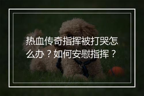 热血传奇指挥被打哭怎么办？如何安慰指挥？