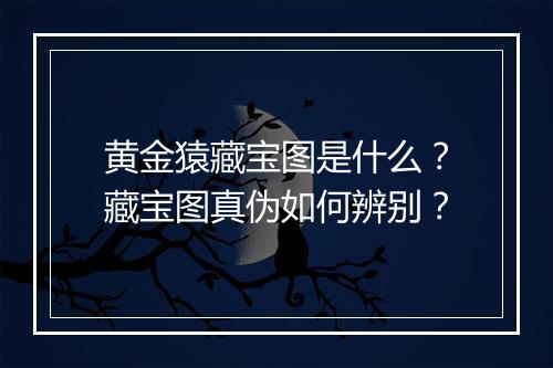 黄金猿藏宝图是什么？藏宝图真伪如何辨别？