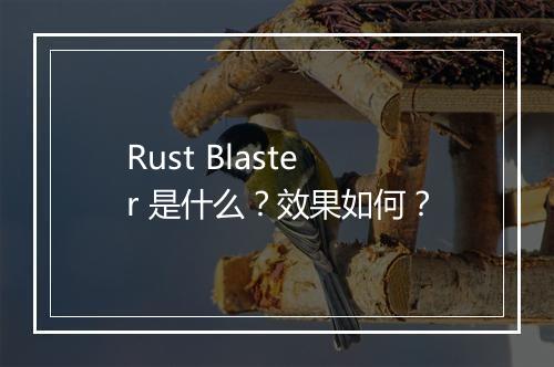 Rust Blaster 是什么？效果如何？