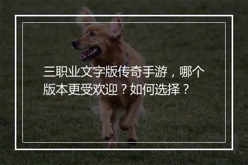 三职业文字版传奇手游，哪个版本更受欢迎？如何选择？