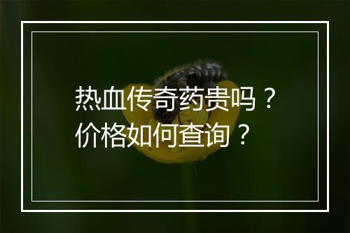 热血传奇药贵吗？价格如何查询？