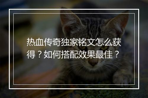 热血传奇独家铭文怎么获得？如何搭配效果最佳？