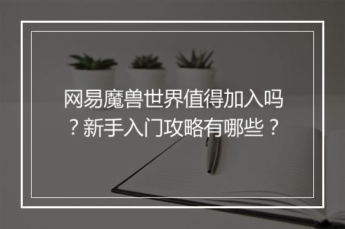 网易魔兽世界值得加入吗？新手入门攻略有哪些？