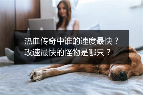 热血传奇中谁的速度最快？攻速最快的怪物是哪只？