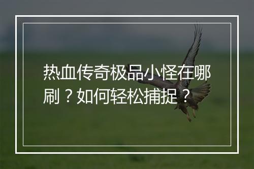 热血传奇极品小怪在哪刷？如何轻松捕捉？