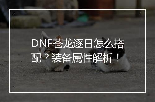 DNF苍龙逐日怎么搭配？装备属性解析！