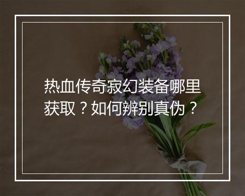 热血传奇寂幻装备哪里获取？如何辨别真伪？