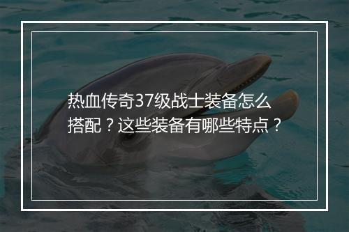 热血传奇37级战士装备怎么搭配？这些装备有哪些特点？