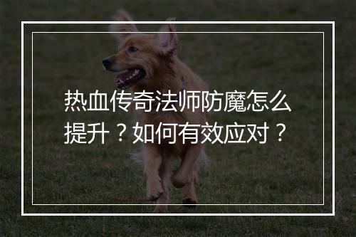 热血传奇法师防魔怎么提升？如何有效应对？