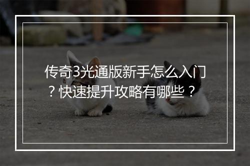 传奇3光通版新手怎么入门？快速提升攻略有哪些？