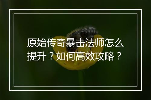 原始传奇暴击法师怎么提升？如何高效攻略？