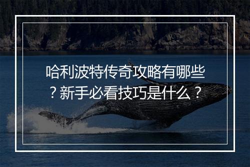 哈利波特传奇攻略有哪些？新手必看技巧是什么？