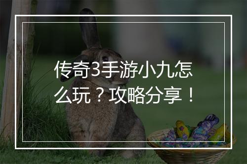 传奇3手游小九怎么玩？攻略分享！