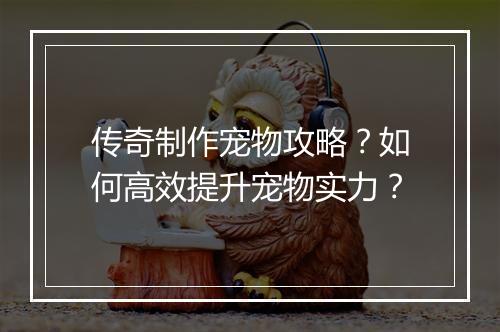 传奇制作宠物攻略？如何高效提升宠物实力？