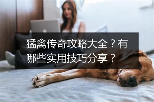 猛禽传奇攻略大全？有哪些实用技巧分享？