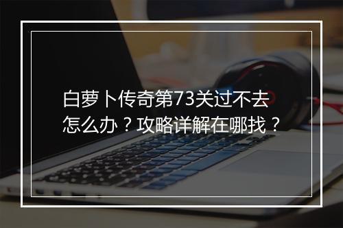 白萝卜传奇第73关过不去怎么办？攻略详解在哪找？