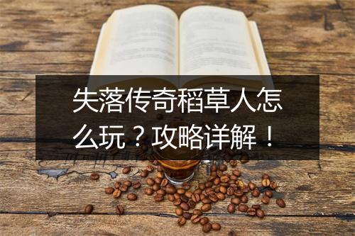 失落传奇稻草人怎么玩？攻略详解！