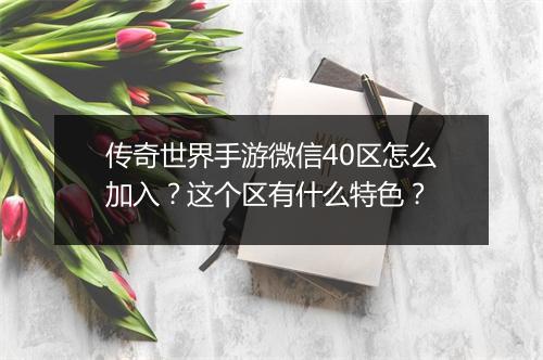 传奇世界手游微信40区怎么加入？这个区有什么特色？