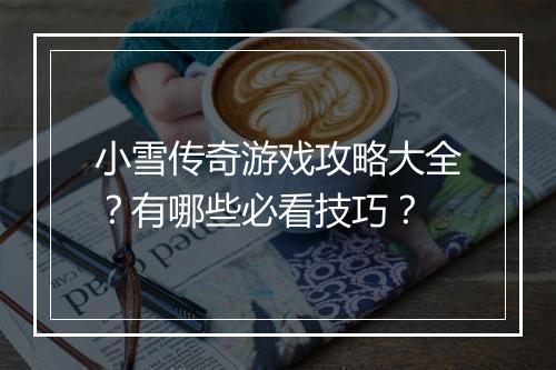 小雪传奇游戏攻略大全？有哪些必看技巧？