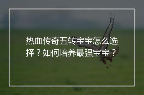 热血传奇五转宝宝怎么选择？如何培养最强宝宝？