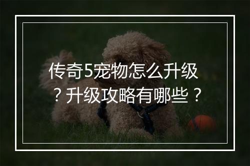 传奇5宠物怎么升级？升级攻略有哪些？