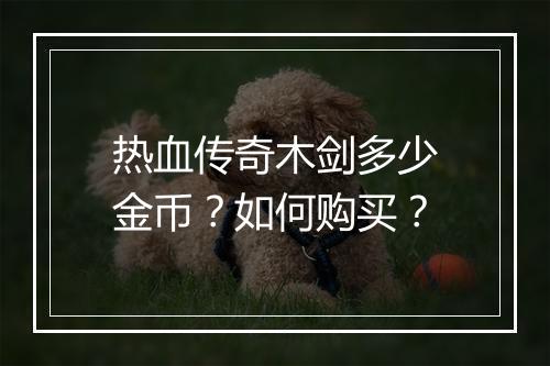 热血传奇木剑多少金币？如何购买？