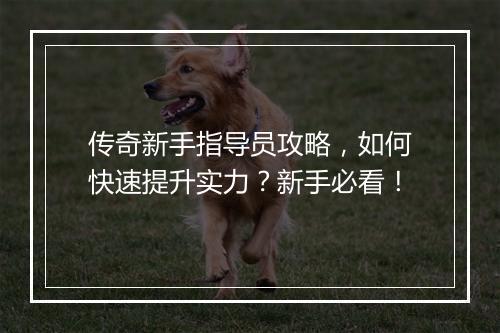 传奇新手指导员攻略，如何快速提升实力？新手必看！