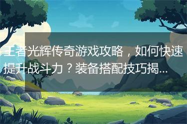 王者光辉传奇游戏攻略，如何快速提升战斗力？装备搭配技巧揭秘？