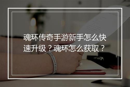 魂环传奇手游新手怎么快速升级？魂环怎么获取？
