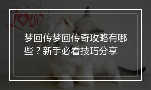 梦回传梦回传奇攻略有哪些？新手必看技巧分享