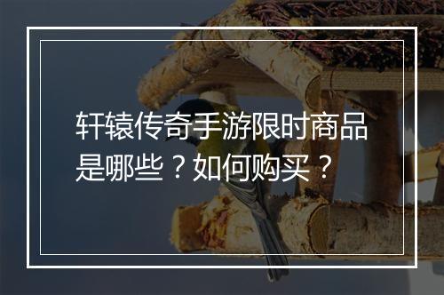 轩辕传奇手游限时商品是哪些？如何购买？