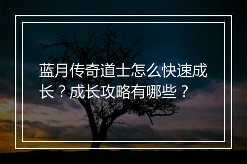 蓝月传奇道士怎么快速成长？成长攻略有哪些？