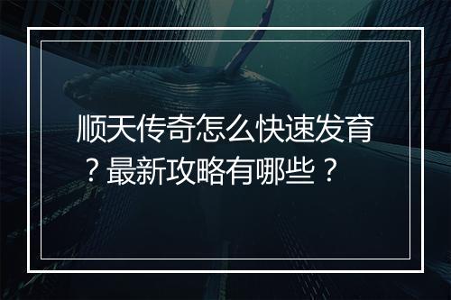 顺天传奇怎么快速发育？最新攻略有哪些？