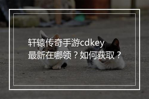 轩辕传奇手游cdkey最新在哪领？如何获取？