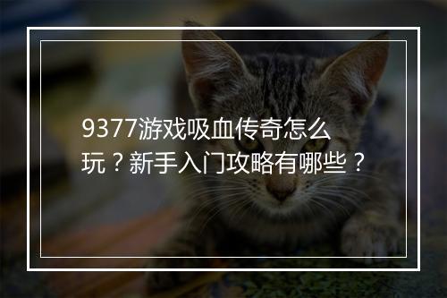 9377游戏吸血传奇怎么玩？新手入门攻略有哪些？