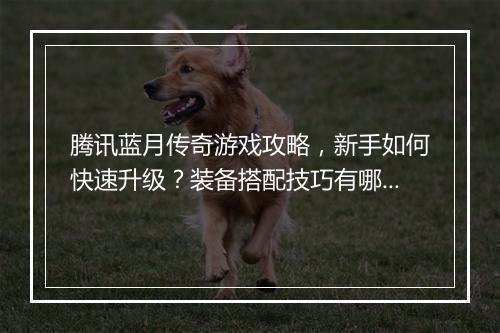 腾讯蓝月传奇游戏攻略,新手如何快速升级?装备搭配技巧有哪些?