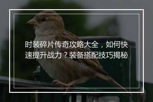 时装碎片传奇攻略大全，如何快速提升战力？装备搭配技巧揭秘