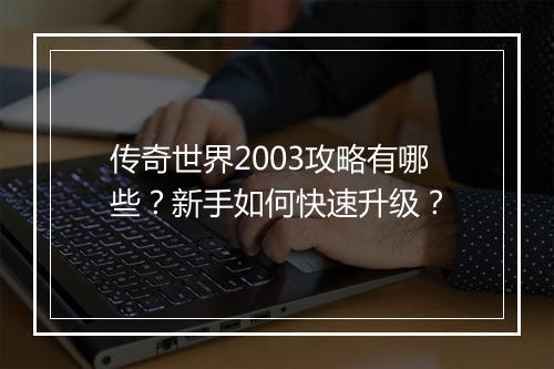 传奇世界2003攻略有哪些？新手如何快速升级？