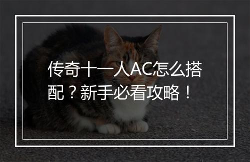 传奇十一人AC怎么搭配？新手必看攻略！