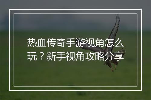 热血传奇手游视角怎么玩？新手视角攻略分享