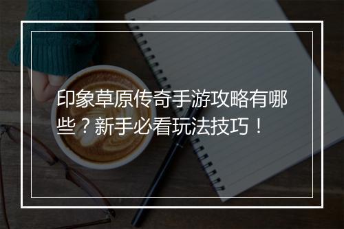 印象草原传奇手游攻略有哪些？新手必看玩法技巧！