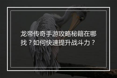龙帝传奇手游攻略秘籍在哪找？如何快速提升战斗力？