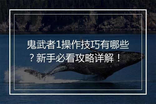 鬼武者1操作技巧有哪些？新手必看攻略详解！