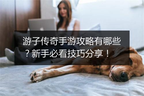 游子传奇手游攻略有哪些？新手必看技巧分享！