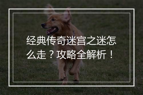 经典传奇迷宫之迷怎么走？攻略全解析！