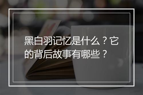 黑白羽记忆是什么？它的背后故事有哪些？