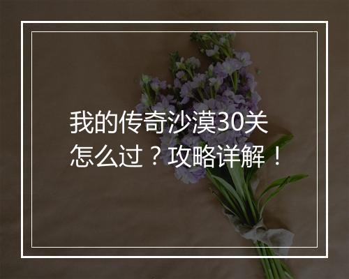 我的传奇沙漠30关怎么过？攻略详解！