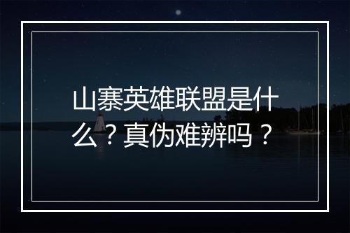 山寨英雄联盟是什么？真伪难辨吗？